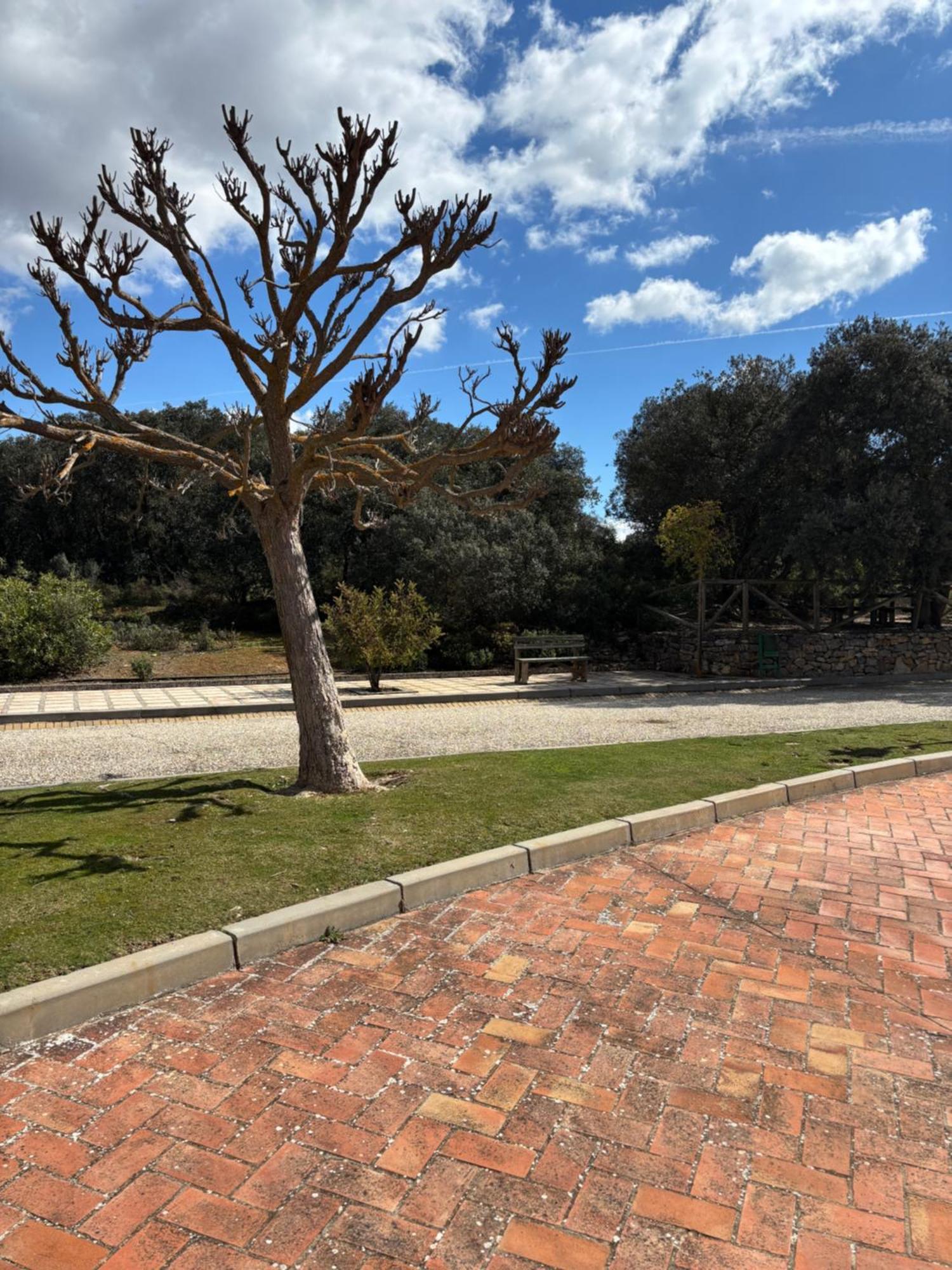 ארצ'ידונה Hotel Rural Carlos Astorga מראה חיצוני תמונה